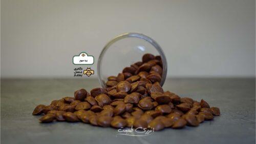 بره موم قرصی