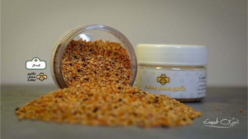 گرده گل (1) گرده گل ایرانی