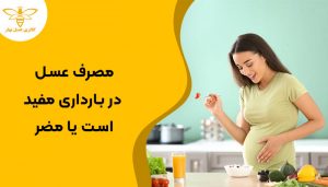 خانمی باردار که میخواهد عسل بخورد