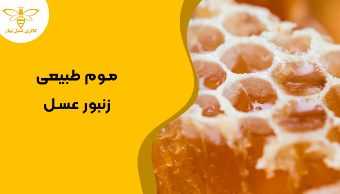 موم طبیعی زنبور عسل موم طبیعی زنبور عسل
