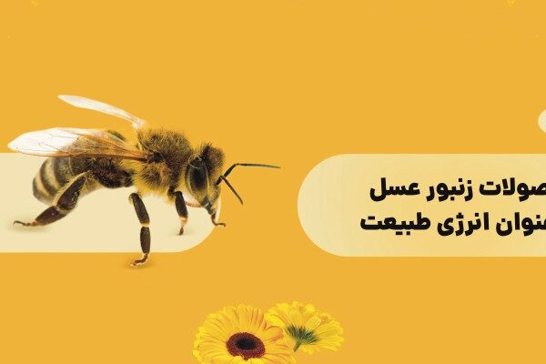 محصولات زنبور عسل محصولات زنبور عسل به عنوان انرژی طبیعت