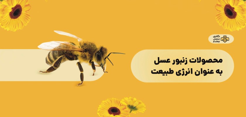 محصولات زنبور عسل به عنوان انرژی طبیعت