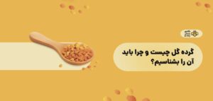 وبلاگ گرده گل چیست و چرا باید آن را بشناسیم؟