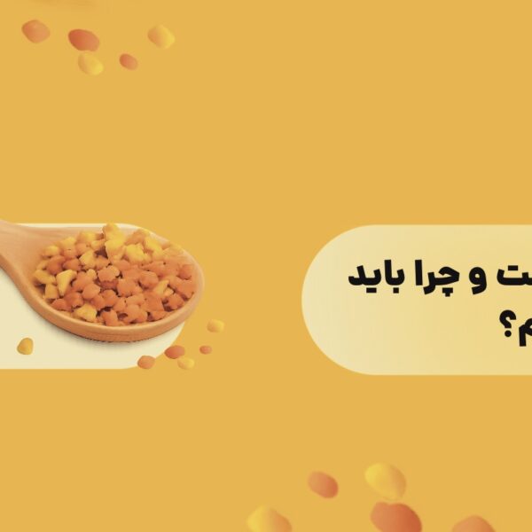 گرده گل چیست و چرا باید آن را بشناسیم؟