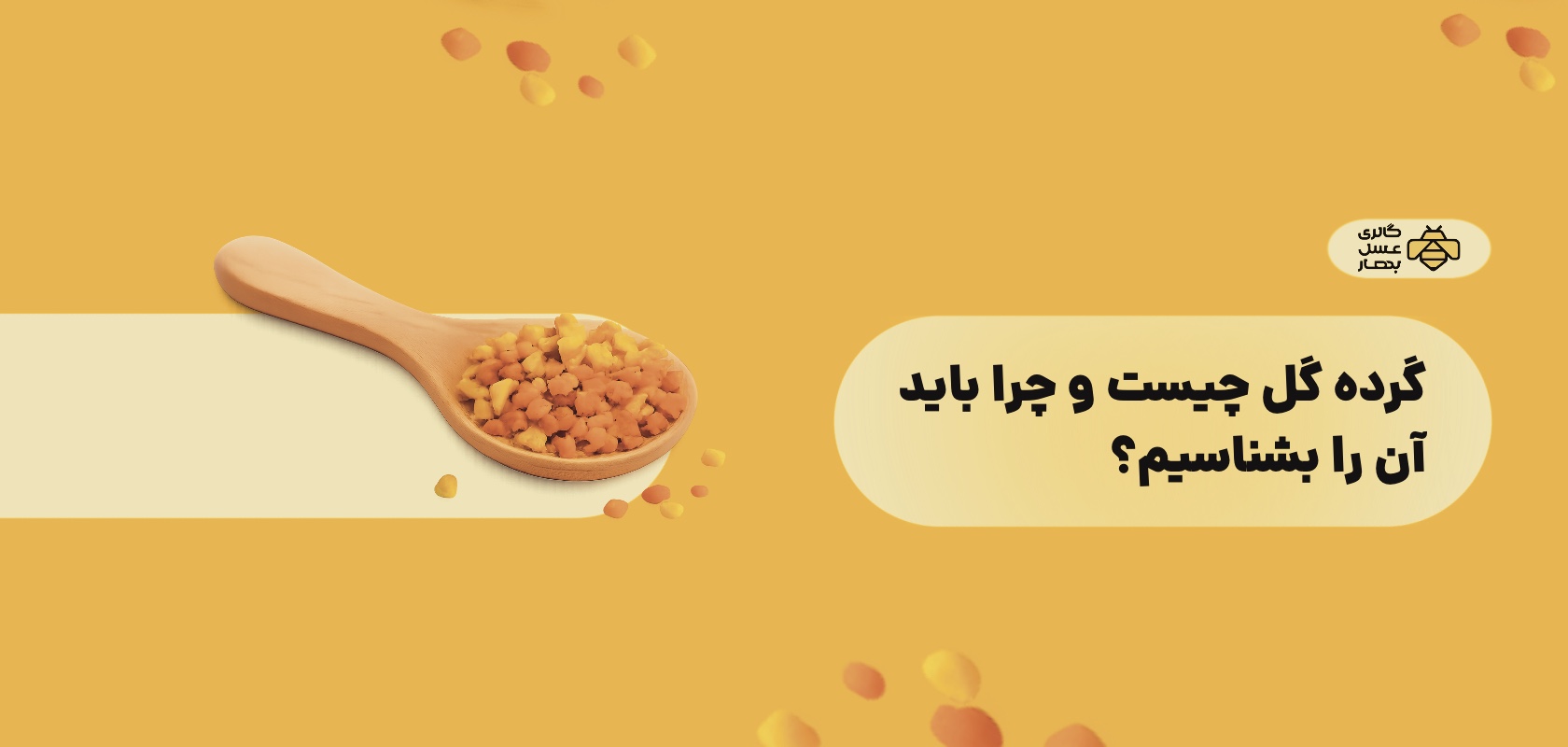 گرده گل چیست و چرا باید آن را بشناسیم؟